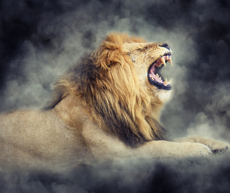 The Lion Roars